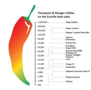 मिर्च mirch ke gun labh fayde upyog