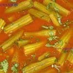 shigru plant shigru powder moringo ke fayde