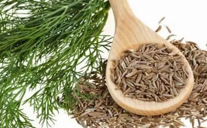 जीरा jira benefits in hindi
