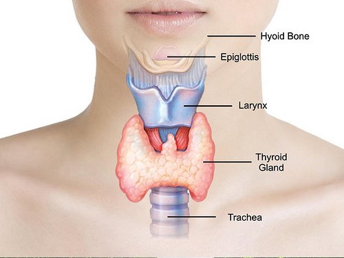 थायराइड समस्या thyroid ke lakshan ilaj