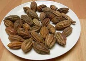 ऐसे खाएं हरड - रहेंगे जवान और नीरोगी