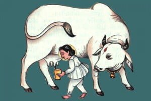 गाय का घी - 30 लाभकारी उपयोग
