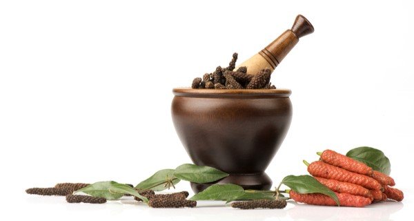 मघ पिप्पली lindi piper pippali piper longum long pepper herb powder uses pipli herb in hindi pippali images pippali powder benefits pipli spice long pepper for weight loss long pepper benefits in hindi long pepper in marathi long pepper in hindi piplamool ke fayde in hindi chhoti pipal ke fayde chhoti pipal image piplamool benefits ganthoda powder side effects ganthoda powder benefits in hindi pipramul in english ganthoda benefits in hindi pipramul in pregnancy ganthoda powder benefits during pregnancy ganthoda in gujarati lendi pipli peepli for weight loss pipli masala chhoti pipal ke fayde in hindi chhoti pipar in gujarati benefits of piplamool in hindi gaja pippali in hindi sonth kali mirch pipli long pepper benefits pipli herb benefits pippali powder side effects लेंडी पीपल के फायदे पिपली के फायदे छोटी पीपली के फायदे छोटी पिप्पली छोटी पीपल के उपयोग पीपलामूल के फायदे इन हिंदी छोटी पीपल का कपड़छान पिपली के गुण पिपली के औषधीय गुण पीपरा मूल पीपलामूल इन हिंदी पिप्पली चूर्ण छोटी पीपर के फायदे छोटी पीपल का बारीक चूर्ण पीपली की खेती गज पीपली क्या है पीपला मूल पिप्पली की खेती छोटी पीपल के फायदे