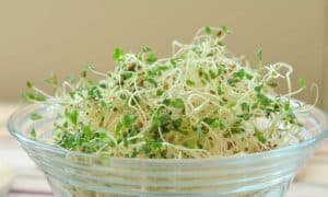 ankurit moong mung beans nutrition ankurit chana in hindi अंकुरित मूंग के लाभ फायदे