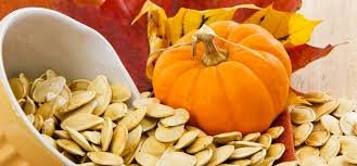 pumpkin-seeds Mesmerizing Glow