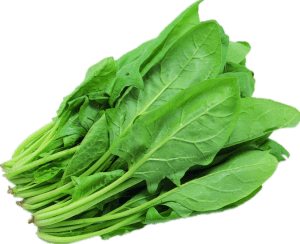 spinach-ac