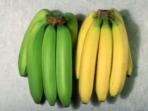 kela khane ka tarika केले पके या कच्चे केला खाने का से फायदे लाभ गुण कितने केले खाने चाहिये kacche kacha kela kele ke fayde faide labh gun upyog unripe raw banana health benefits uses in hindi