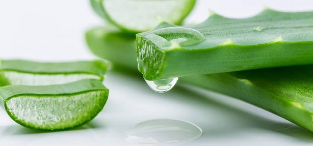 घर पर बनाईये एलोवेरा जूस aloe vera juice banane ki vidhi fayde