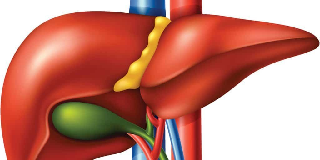 लिवर की खराबी लिवर की सूजन, खराबी और कमजोरी के 8 लक्षण