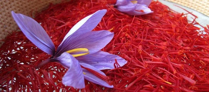 केसर kesar saffron spice ke gun labh fayde upyog price