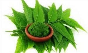 नीम का उपयोग नीम का तेल कैसे बनाये नीम की पत्ती के नुकसान नीम का काढ़ा नीम जूस नीम की गोली नीम की पत्ती खाने के फायदे नीम की पत्ती का रस नीम का रस बनाने की विधि नीम की छाल के फायदे नीम के पत्ते खाने के नुकसान नीम का जूस कैसे बनाये नीम का तेल बालों के लिए नीम का तेल लगाने के फायदे नीम के तेल का उपयोग नीम के नुकसान नीम की पत्ती खाने के नुकसान नीम के फायदे इन हिंदी नीम के पत्ते खाने से क्या क्या लाभ है नीम का रस नीम की छाल