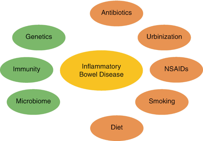 what is IBD ulcerative colitis in hindi ayurvedic treatment 
