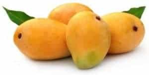 mango in hindi word benefits of mango leaves in hindi mango benefits 5 sentences about fruits in hindi aam hindi mango fruit mango side effects in hindi kache aam ke fayde raw mango meaning in hindi mango meaning in english mango fruit meaning mango hindi name apple meaning in hindi mango meaning in sanskrit meaning of mango aam meaning in hindi mango leaf in hindi language 10 uses of mango leaves uses of mango flower in hindi essay on mango leaf in hindi uses of guava leaves in hindi uses of mango tree leaves in hindi uses of mango tree in hindi language uses of mango leaves in english mango benefits for skin mango benefits and side effects mango benefits weight loss benefits of mango for hair frozen mango benefits disadvantages of mango ataulfo mango benefits benefits of eating mango at night 5 sentences about mango in hindi 10 lines on mango fruit slogans on mango in hindi 20 lines on mango fruit few lines on fruits short paragraph on mango mera priya phal aam hindi poem on aam aam falo ka raja hai hindi poem dekho kitna aam rasila poem mango rhymes in hindi aam hindi rhymes aam hindi word meaning mango song in hindi mango in hindi mango fruit benefits how to eat mango fruit essay on mango fruit types of mangoes nutritional value of mango fruit mango tree