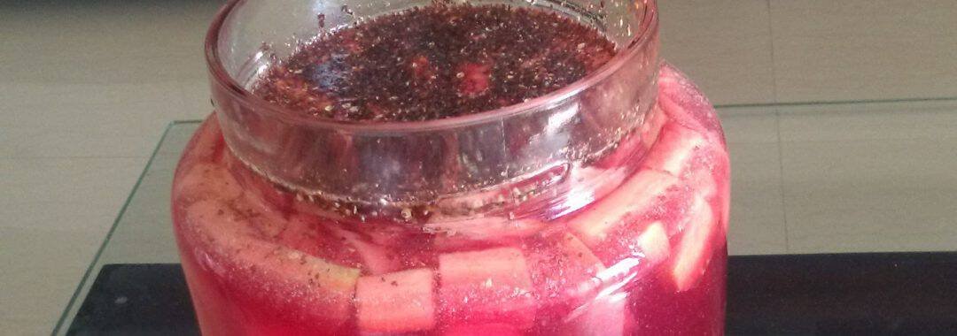 gajar kanji गाजर कांजी