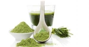 wheatgrass juice price how to use wheatgrass powder wheatgrass powder reviews wheatgrass powder dosage wheatgrass in hindi gehu ka jwara wheatgrass juice benefits wheatgrass powder benefits in hindi wheatgrass powder dosage wheatgrass tablets