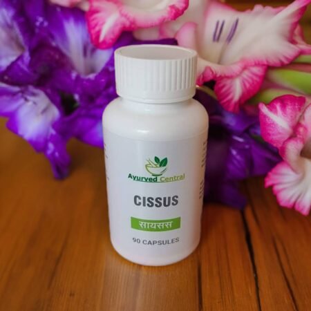 cissus