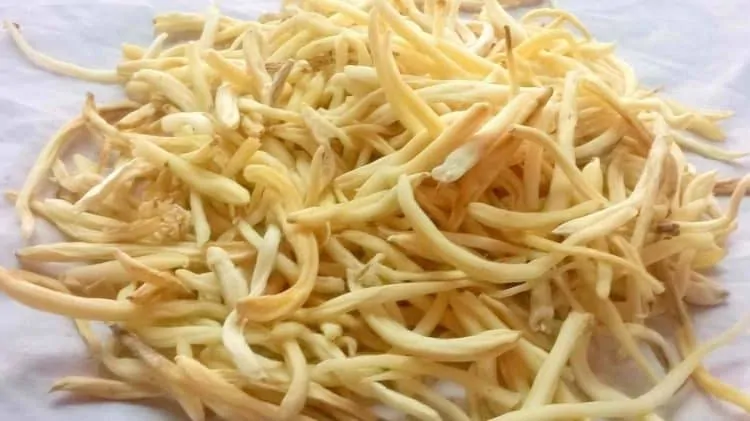 safed musli ke faide, musli powder सफेद मूसली कैसे खाएं पतंजलि सफेद मूसली चूर्ण कीमत सफेद मूसली की खेती कैसे करे सफेद मूसली खाने के तरीके सफेद मूसली पतंजलि पतंजलि सफेद मूसली चूर्ण मूल्य सफेद मूसली price सफेद मूसली खाने का तरीका सफेद मूसली खाने की विधि पतंजलि सफेद मूसली चूर्ण पतंजलि सफेद मूसली चूर्ण price पतंजलि सफेद मूसली चूर्ण rate सफ़ेद मुसली प्राइस मूसली पाक सफेद मूसली चूर्ण सफेद मूसली का भाव safed musli powder price safed musli side effects where to buy safed musli musli strong capsules musli powder musli root powder chlorophytum borivilianum testosterone safed musli reviews musli herb safed musli benefits for men black musli chlorophytum borivilianum side effects chlorophytum borivilianum velvet bean chlorophytum borivilianum 75% extract safed musli extract power prash in india agripure musli revitaliser musli for women what is musli what is safed musli where is safed israel define safed what is muesli cereal spider plant light requirements chlorophytum borivilianum supplements spider plant care chlorophytum arundinaceum chlorophytum chlorophytum borivilianum safed musli plant musli powder for diabetics musli powder for sale musli power extra musli power extra reviews musli power extra side effects musli power capsule safed musli powder safed musli capsules safed musli dosage musli benefits safed musli benefits of safed musli safed musli supplement musli capsules aggripure musli musli power x tra musli power extra tea musli power extra coffee