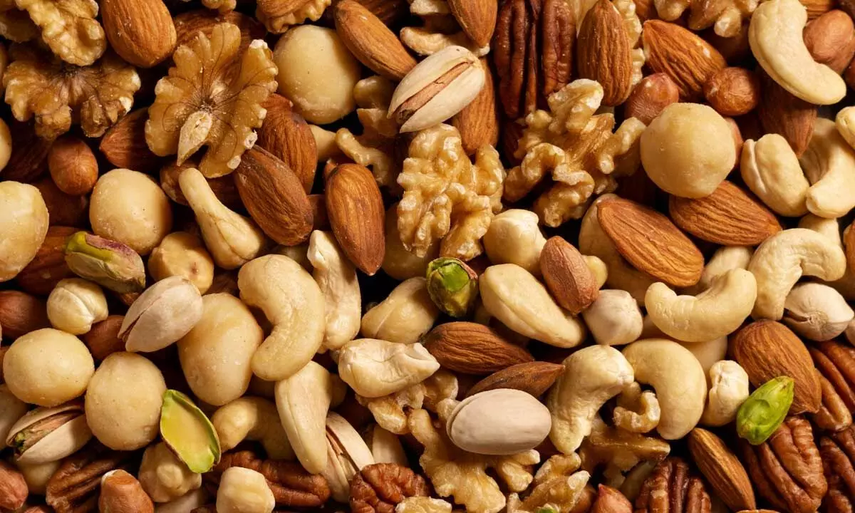 ibs के लिये ड्राइ fruits Dry Fruits For IBS Patients 