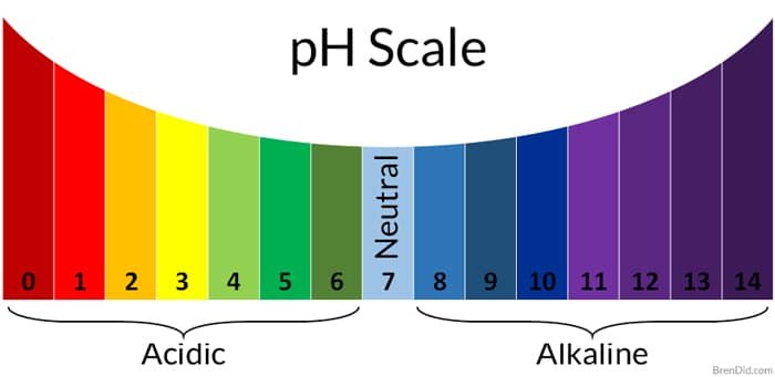 शरीर का pH संतुलन