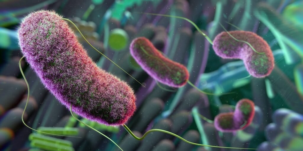 आंतों के अच्छे बैक्टीरिया