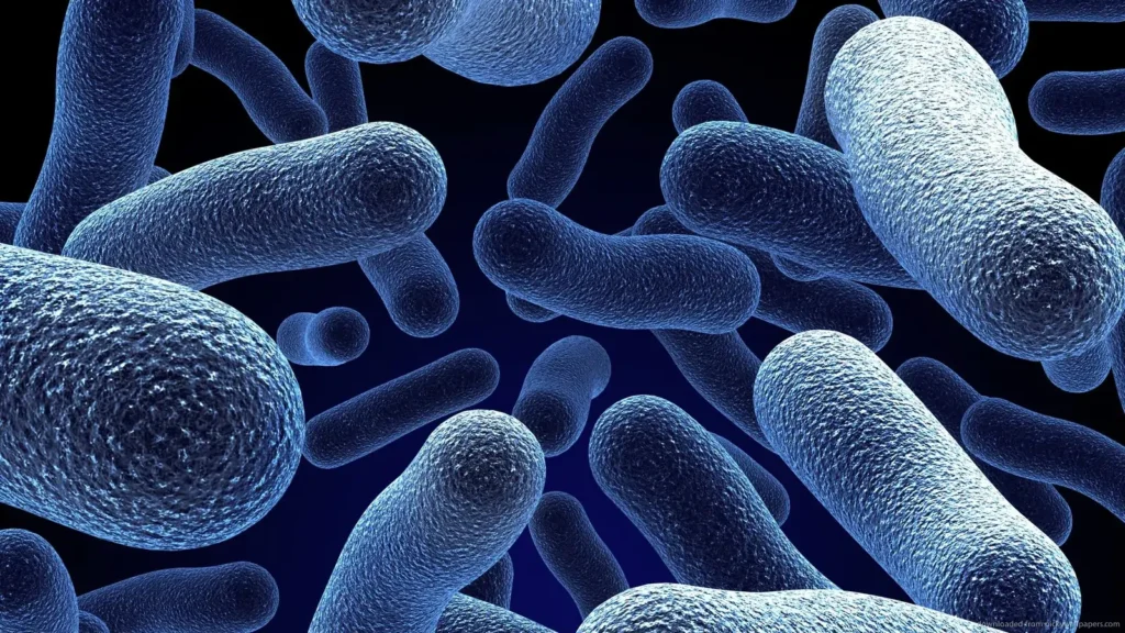 प्रोबायोटिक्स (Probiotics)