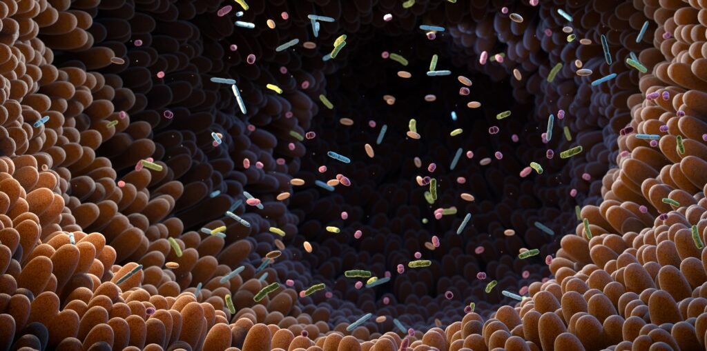 एंटीबायोटिक्स कीटनाशक GMOs