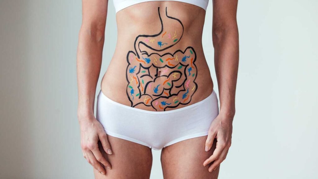 Gut Bacteria Microbiome